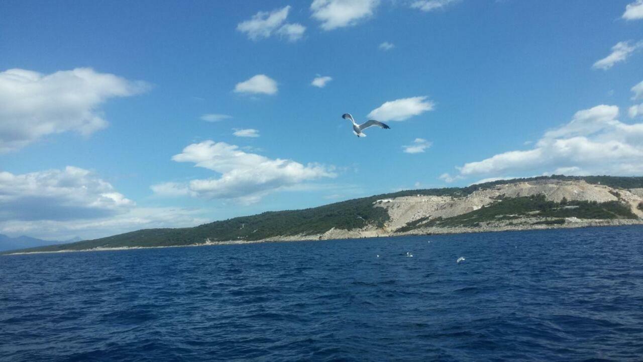 Holiday Home Perlica Marusici  Екстер'єр фото